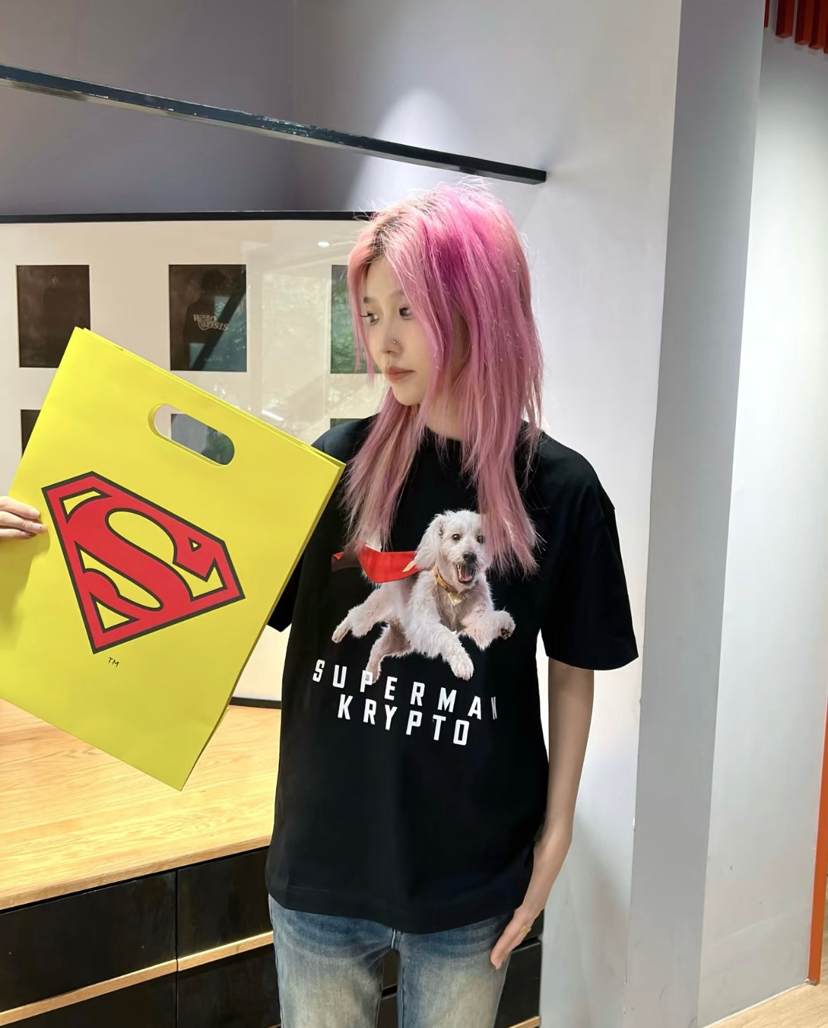 SUPERMAN 聯名|披風寵物犬短袖